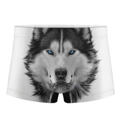 Siberian Husky Portrait Print Men's Boxer Briefs