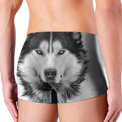 Siberian Husky Portrait Print Men's Boxer Briefs