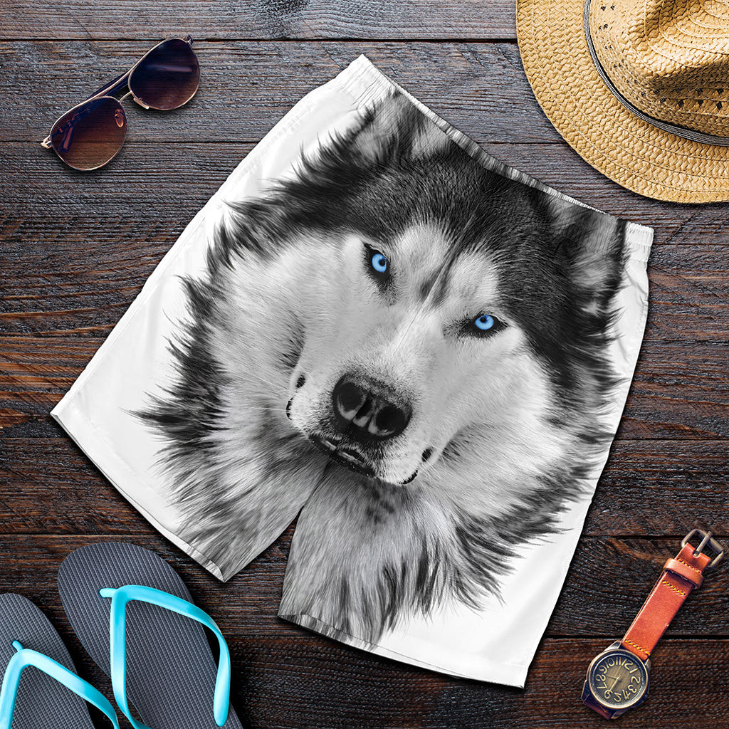 Siberian Husky Portrait Print Men's Shorts