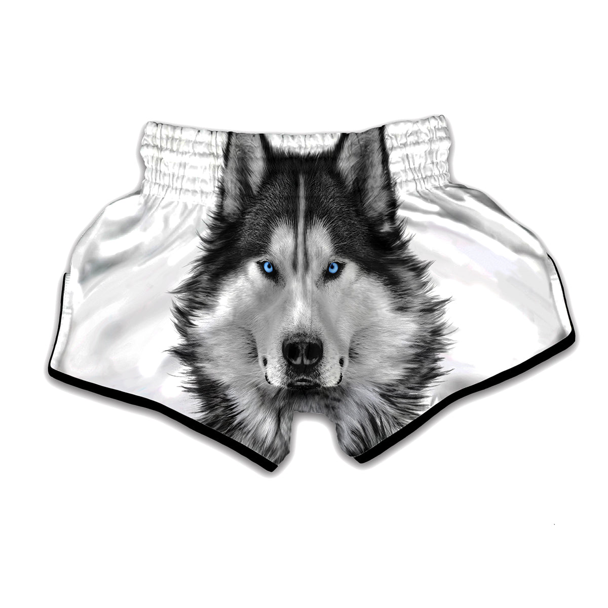 Siberian Husky Portrait Print Muay Thai Boxing Shorts