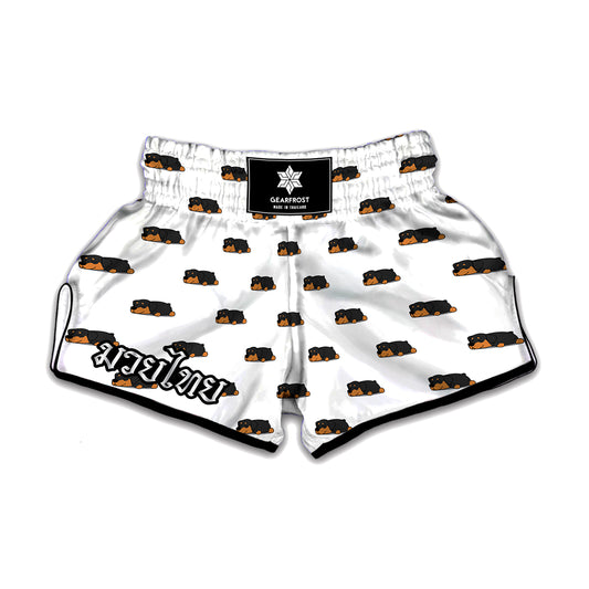 Sleeping Rottweiler Pattern Print Muay Thai Boxing Shorts