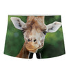 Smiley Face Giraffe Print Men's Boxer Briefs