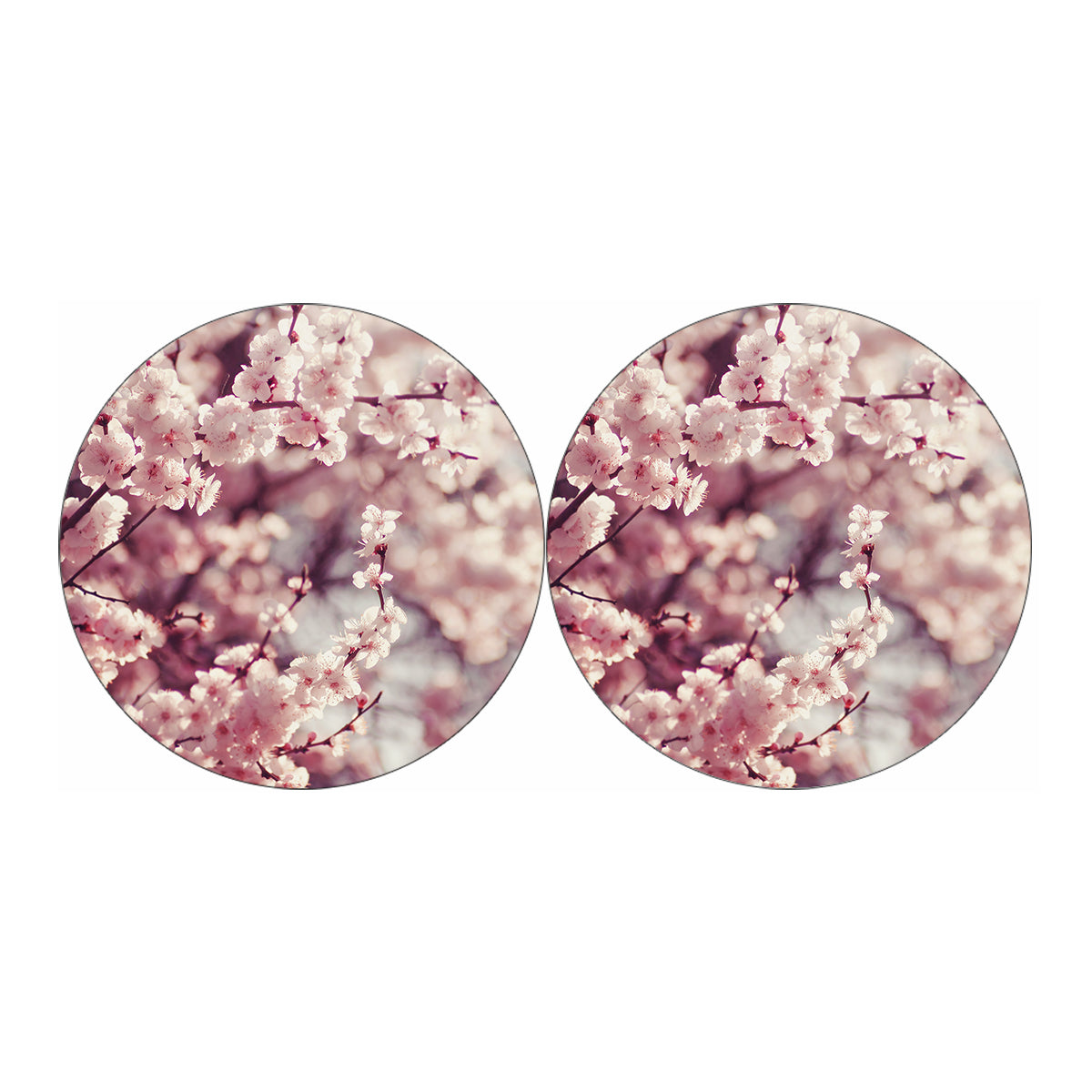 Spring Cherry Blossom Print Car Coasters