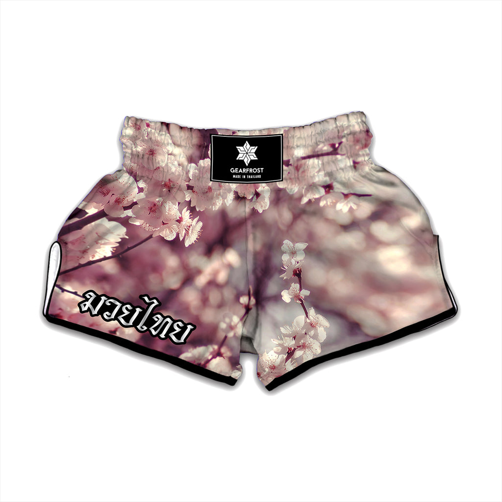 Spring Cherry Blossom Print Muay Thai Boxing Shorts