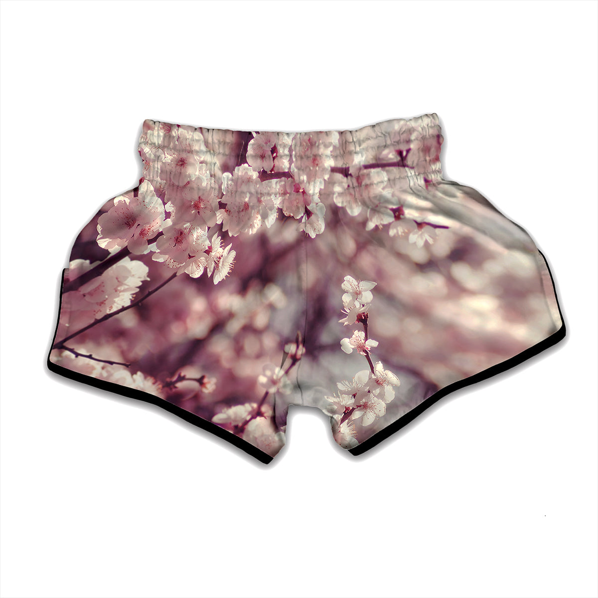 Spring Cherry Blossom Print Muay Thai Boxing Shorts