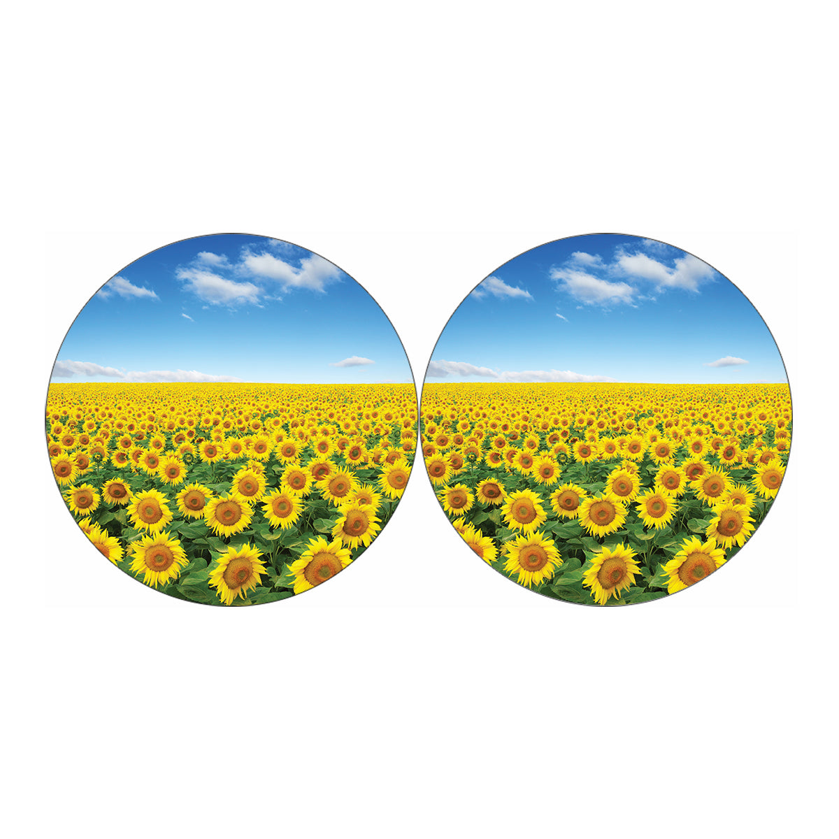 Sunflower Field Print Car Coasters