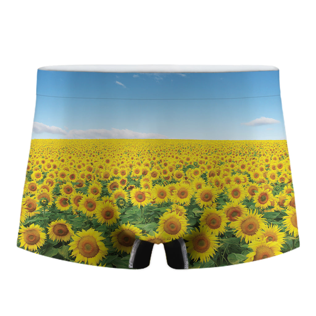 Sunflower Field Print Men's Boxer Briefs