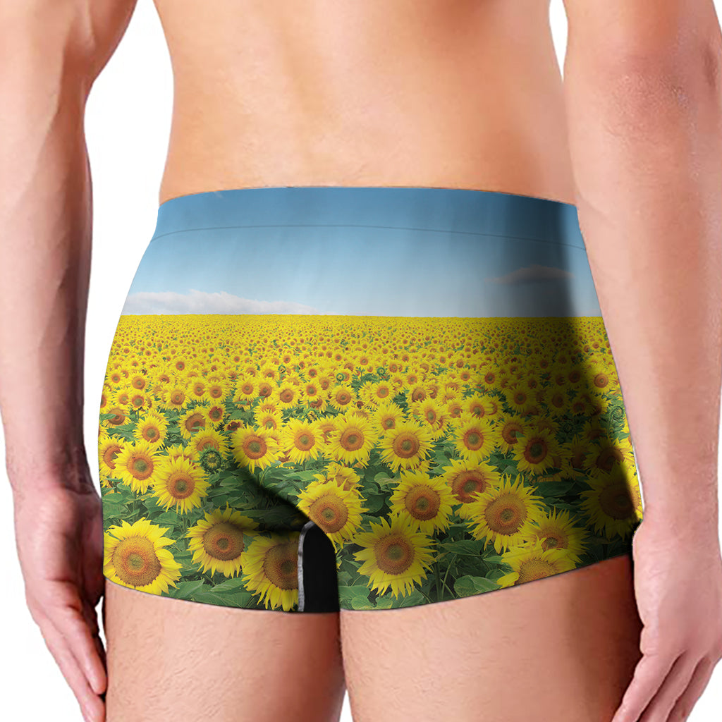 Sunflower Field Print Men's Boxer Briefs