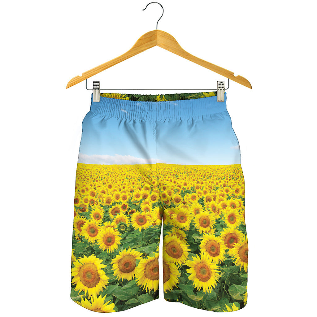 Sunflower Field Print Men's Shorts