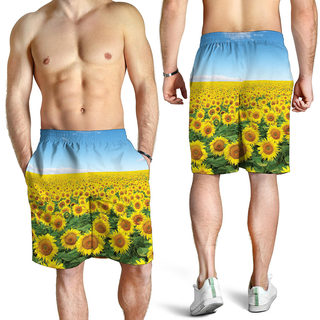 Sunflower Field Print Men's Shorts
