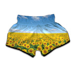 Sunflower Field Print Muay Thai Boxing Shorts
