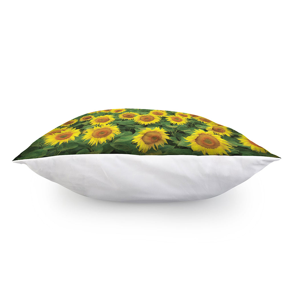 Sunflower Field Print Pillow Cover