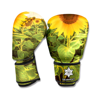 Sunflower Landscape Print Boxing Gloves