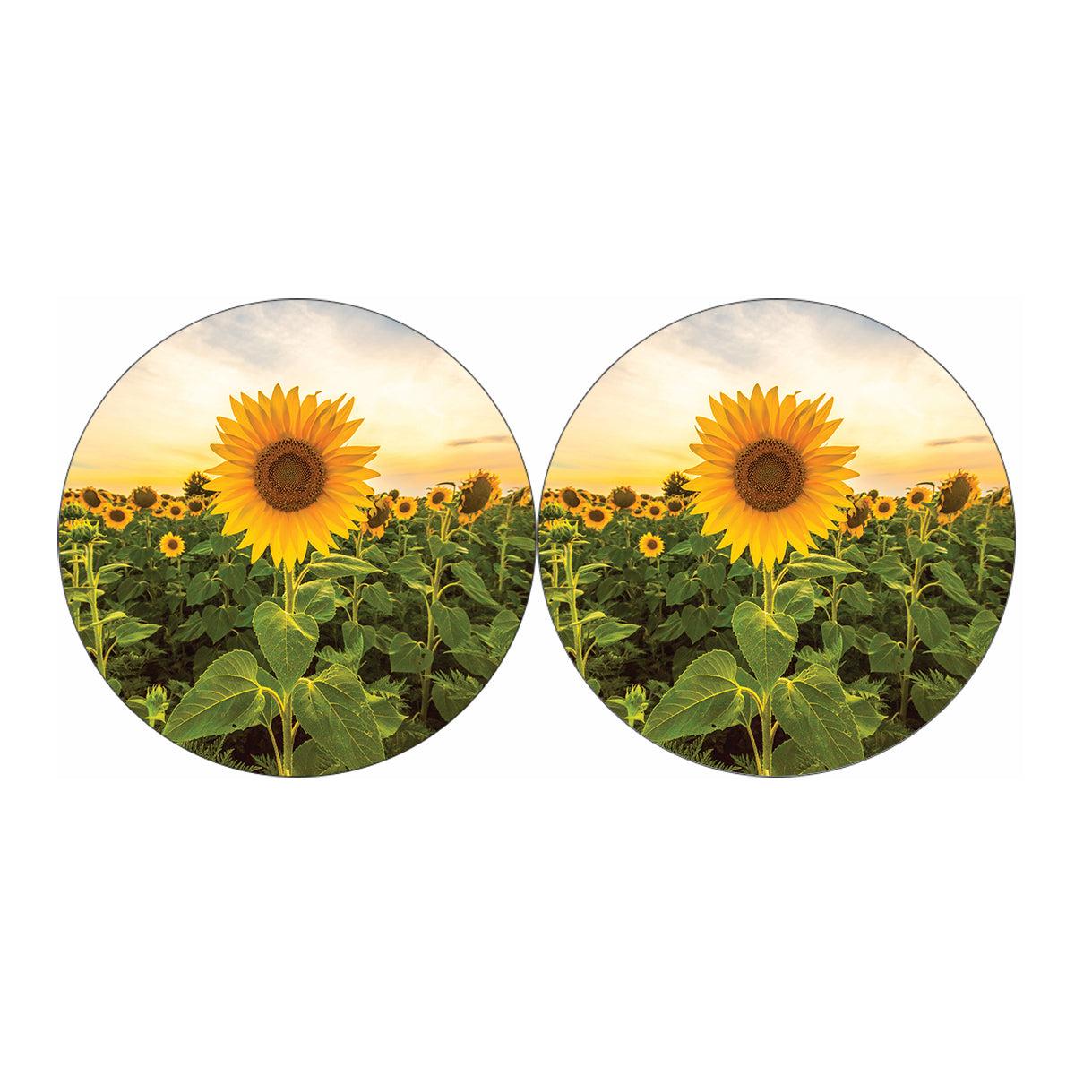Sunflower Landscape Print Car Coasters