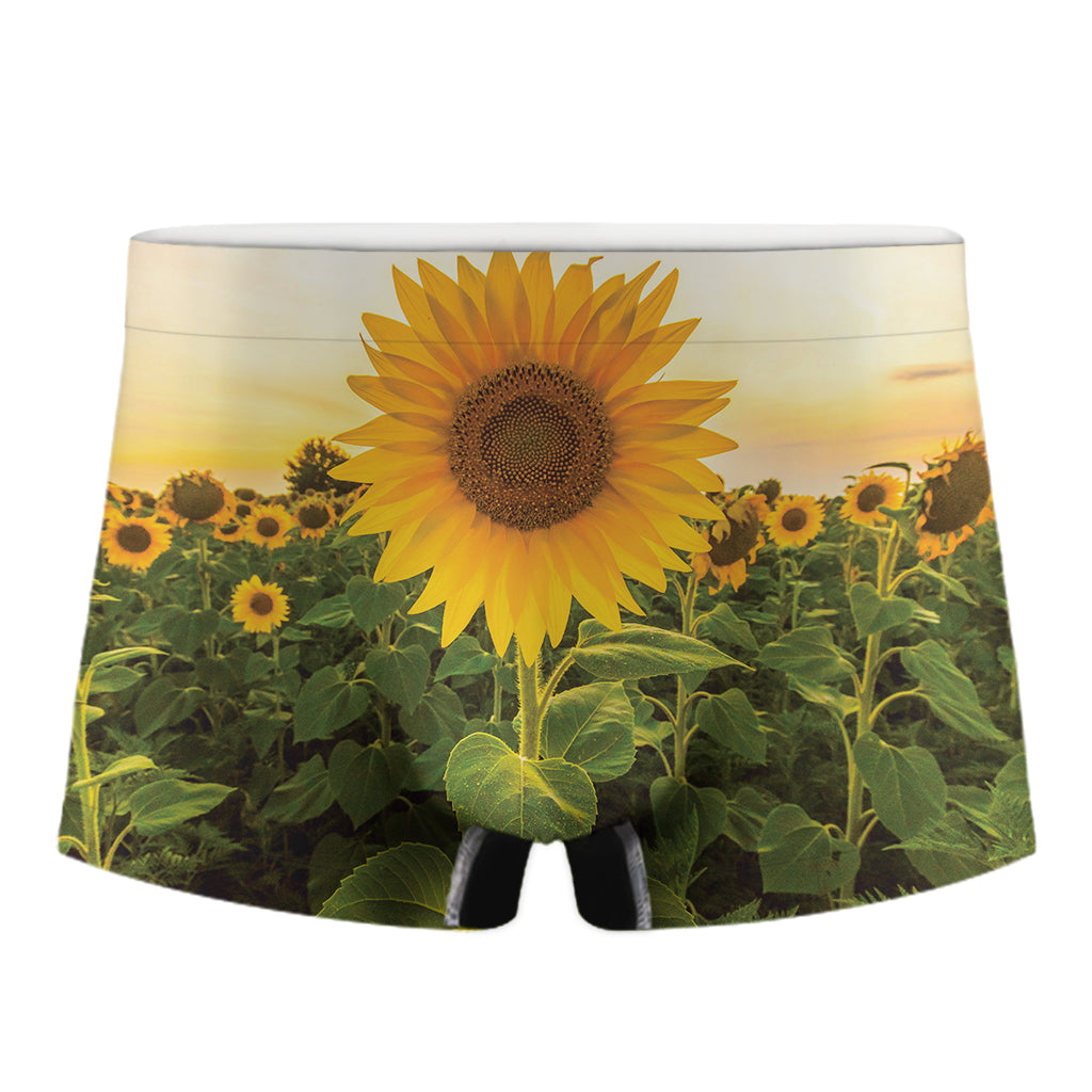 Sunflower Landscape Print Men's Boxer Briefs