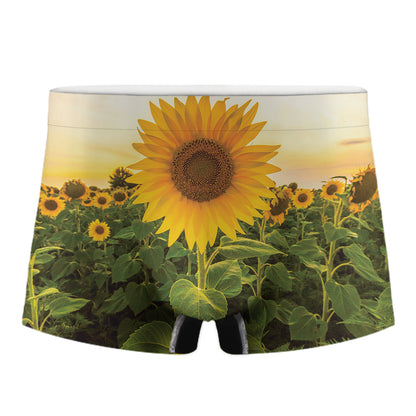 Sunflower Landscape Print Men's Boxer Briefs