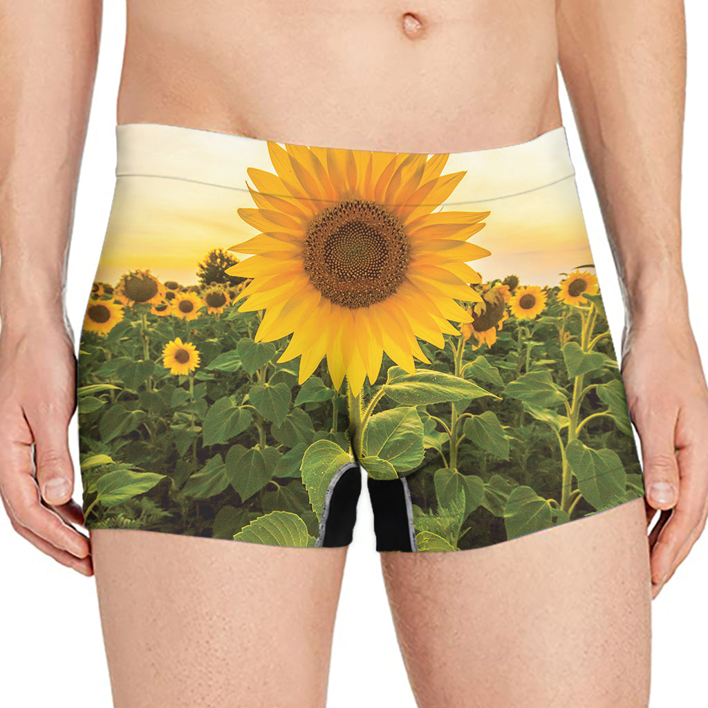 Sunflower Landscape Print Men's Boxer Briefs