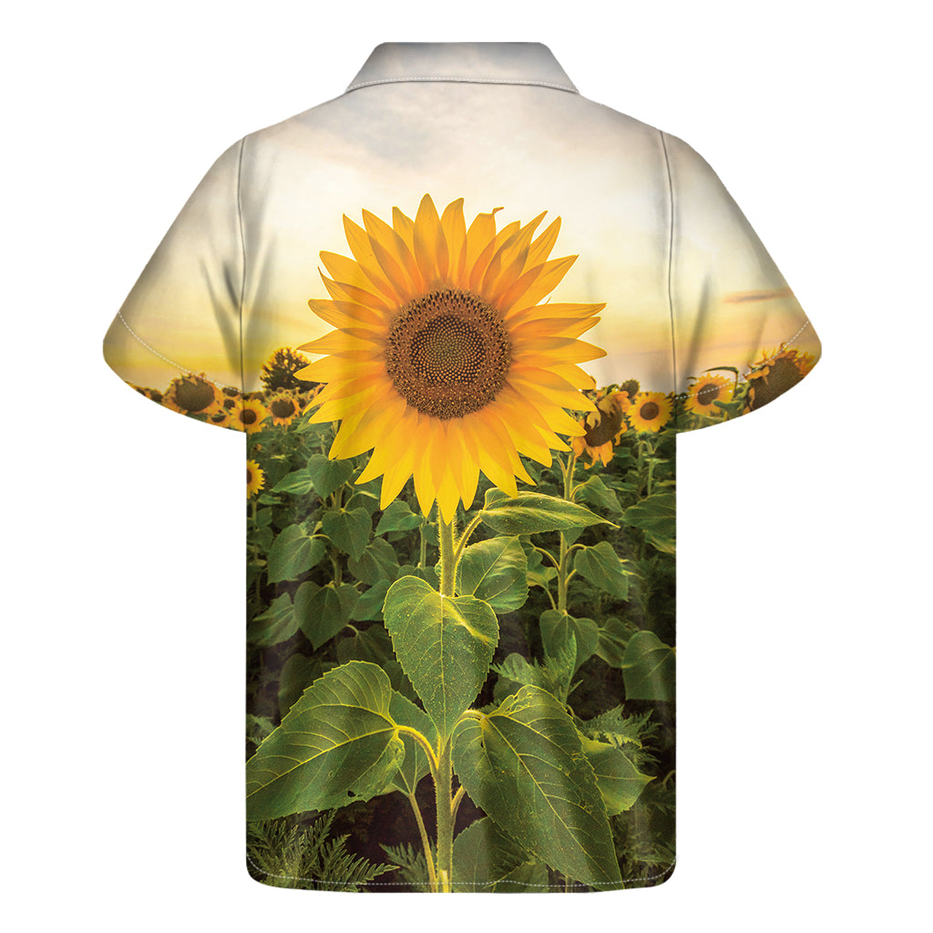 Sunflower Landscape Print Men's Short Sleeve Shirt