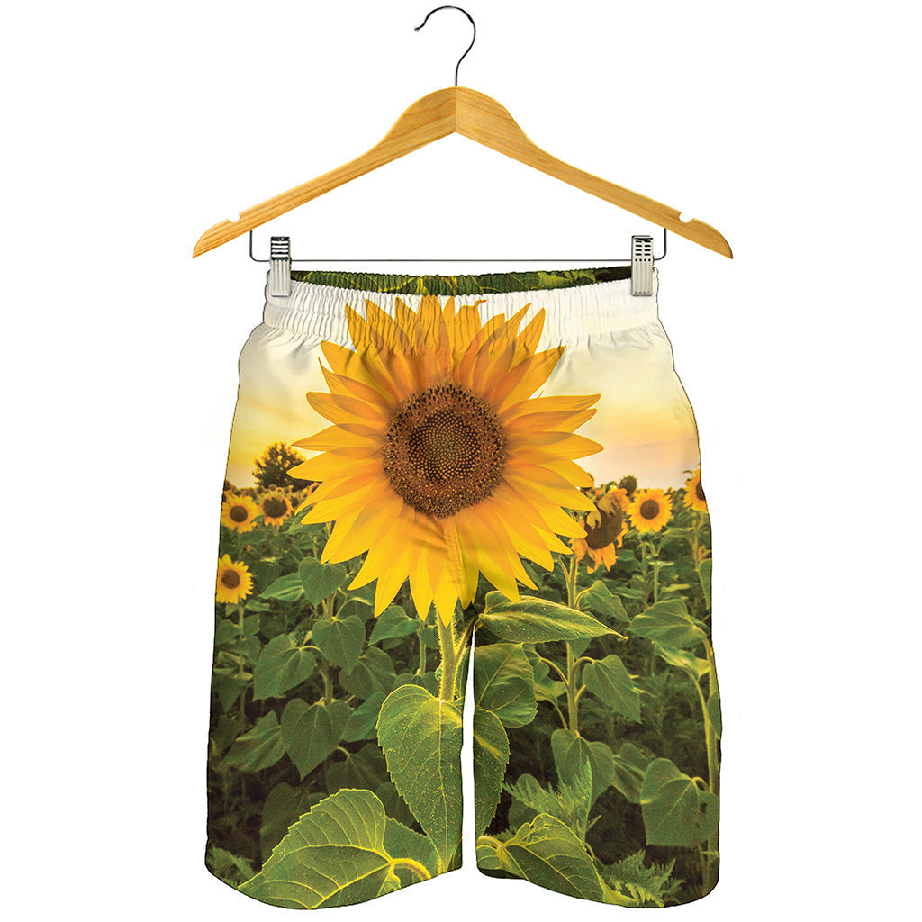 Sunflower Landscape Print Men's Shorts