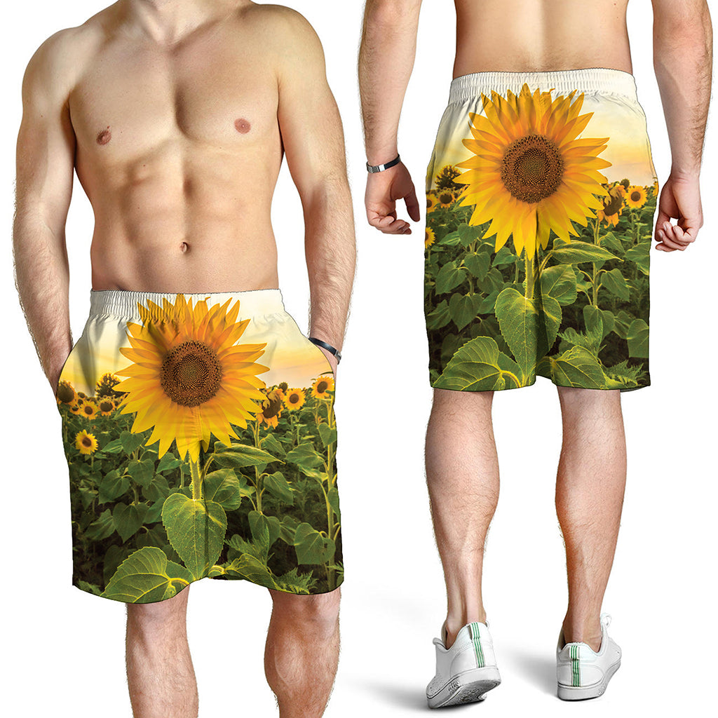 Sunflower Landscape Print Men's Shorts