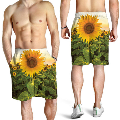 Sunflower Landscape Print Men's Shorts