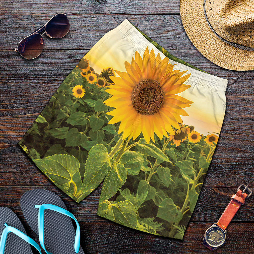 Sunflower Landscape Print Men's Shorts