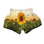 Sunflower Landscape Print Muay Thai Boxing Shorts