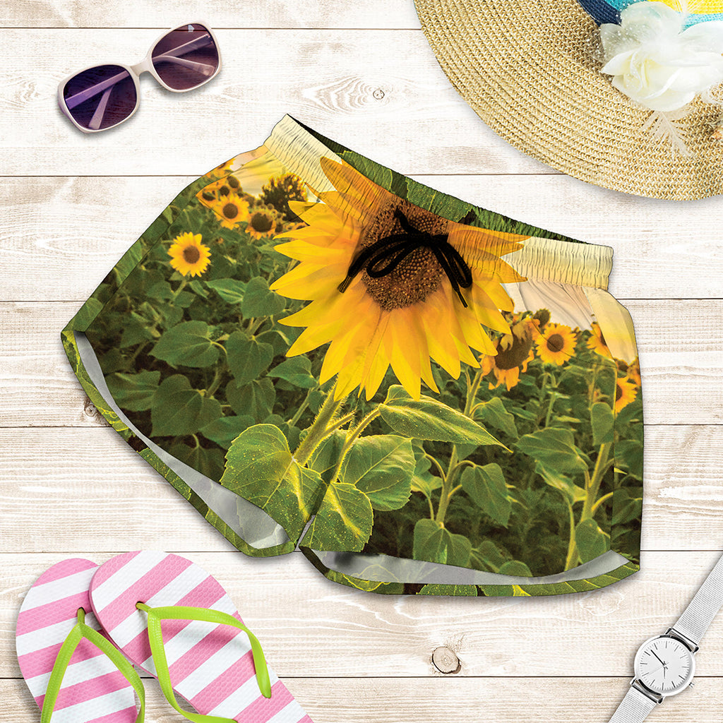 Sunflower Landscape Print Women's Shorts