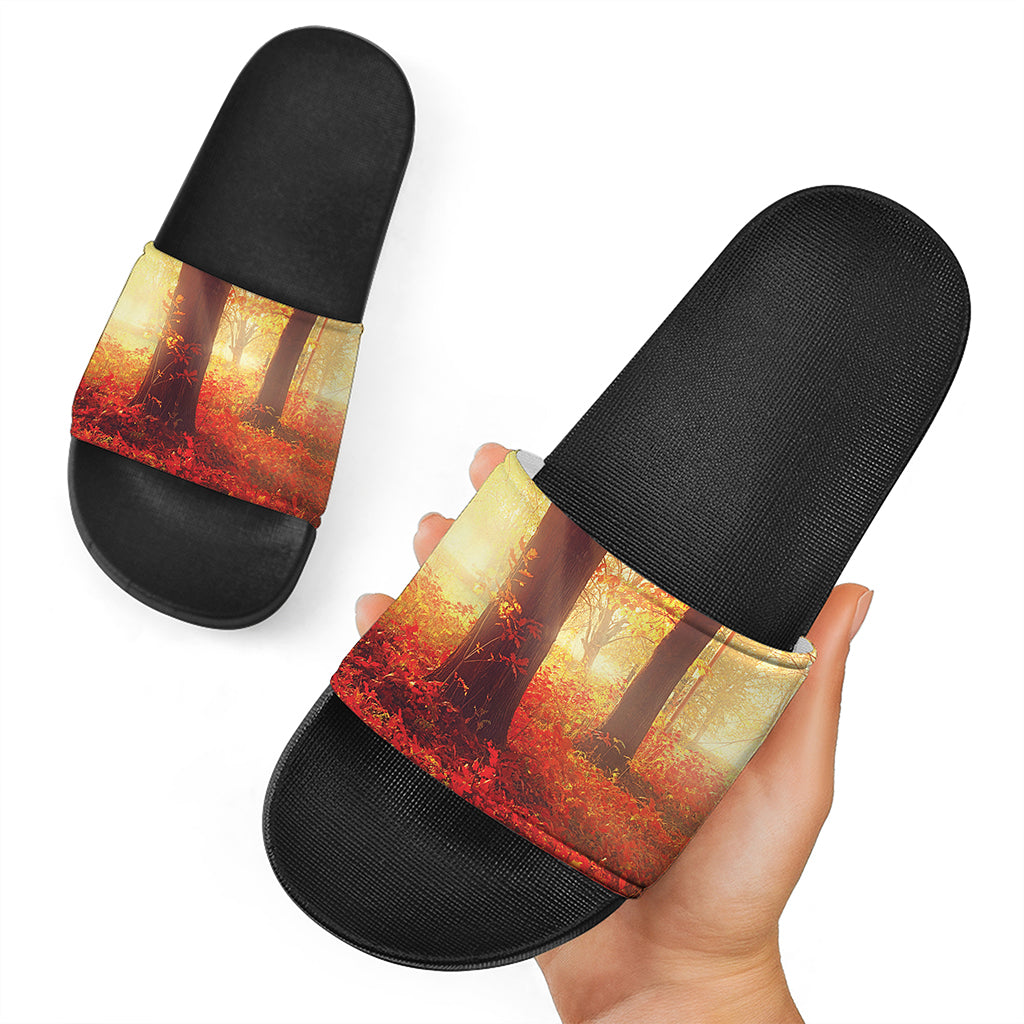 Sunshine Autumn Tree Print Black Slide Sandals