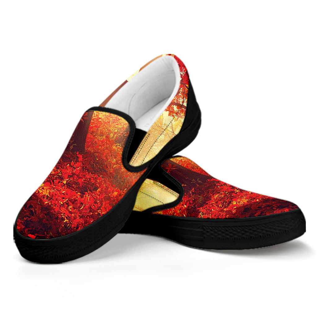 Sunshine Autumn Tree Print Black Slip On Shoes