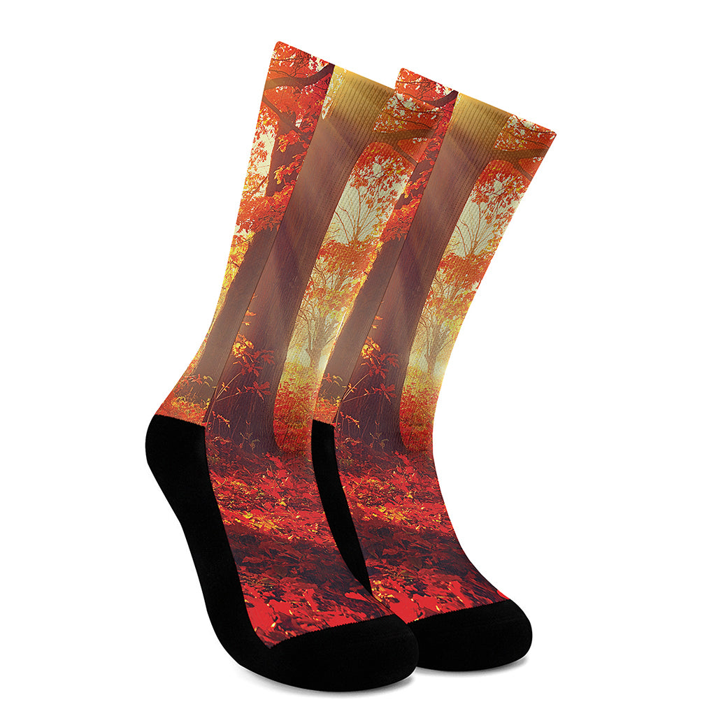 Sunshine Autumn Tree Print Crew Socks