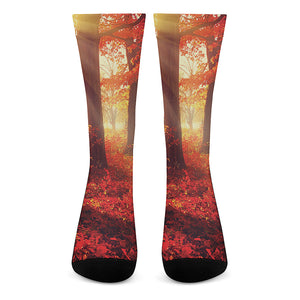 Sunshine Autumn Tree Print Crew Socks