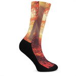 Sunshine Autumn Tree Print Crew Socks