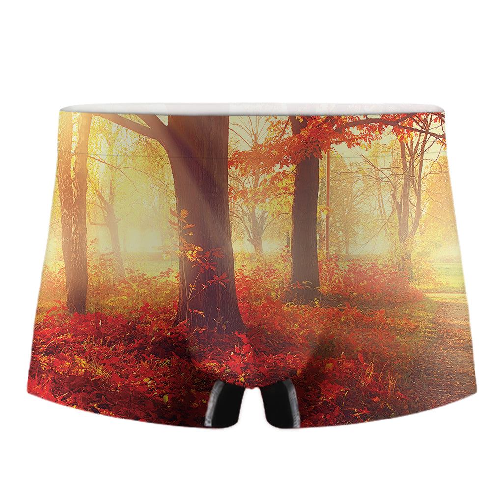 Sunshine Autumn Tree Print Men's Boxer Briefs