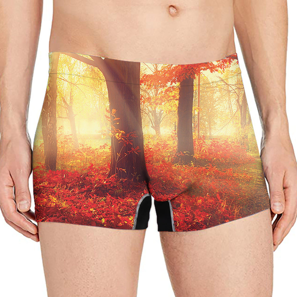 Sunshine Autumn Tree Print Men's Boxer Briefs