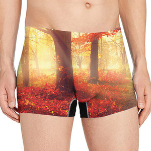 Sunshine Autumn Tree Print Men's Boxer Briefs