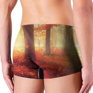 Sunshine Autumn Tree Print Men's Boxer Briefs