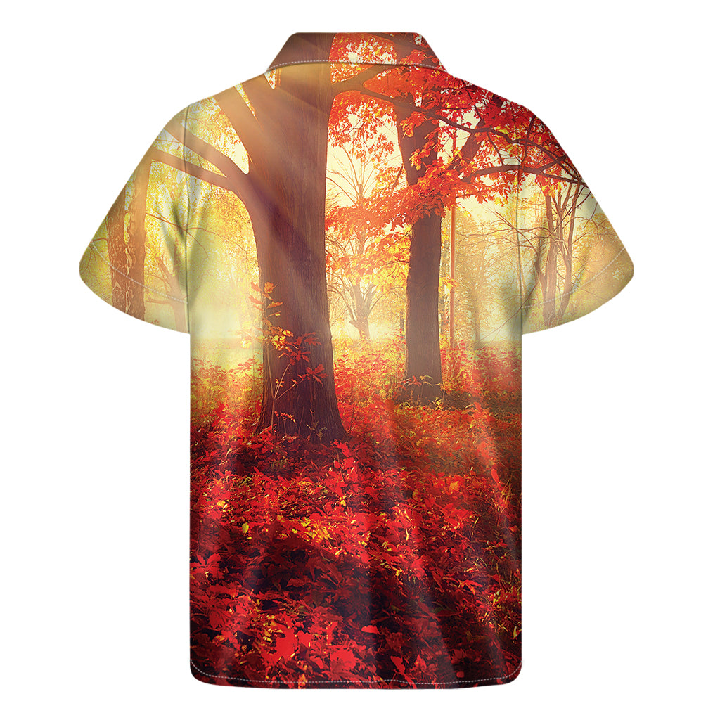 Sunshine Autumn Tree Print Men's Short Sleeve Shirt