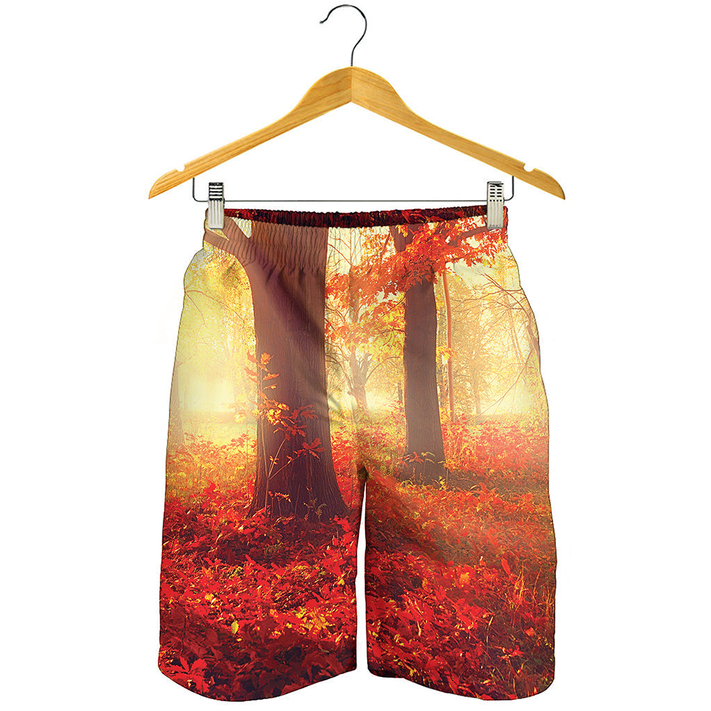 Sunshine Autumn Tree Print Men's Shorts