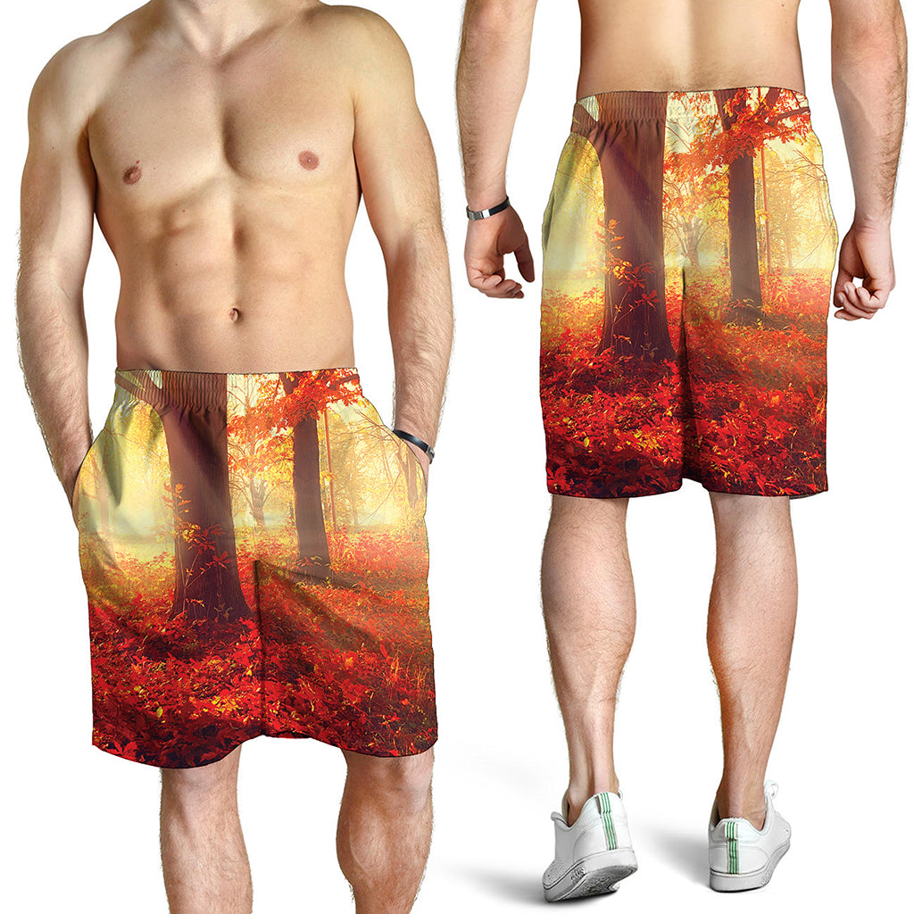 Sunshine Autumn Tree Print Men's Shorts