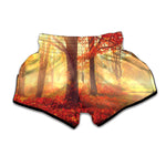 Sunshine Autumn Tree Print Muay Thai Boxing Shorts