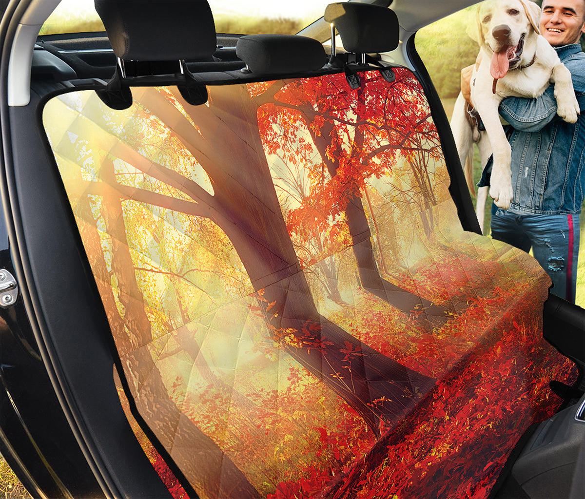 Sunshine Autumn Tree Print Pet Car Back Seat Cover