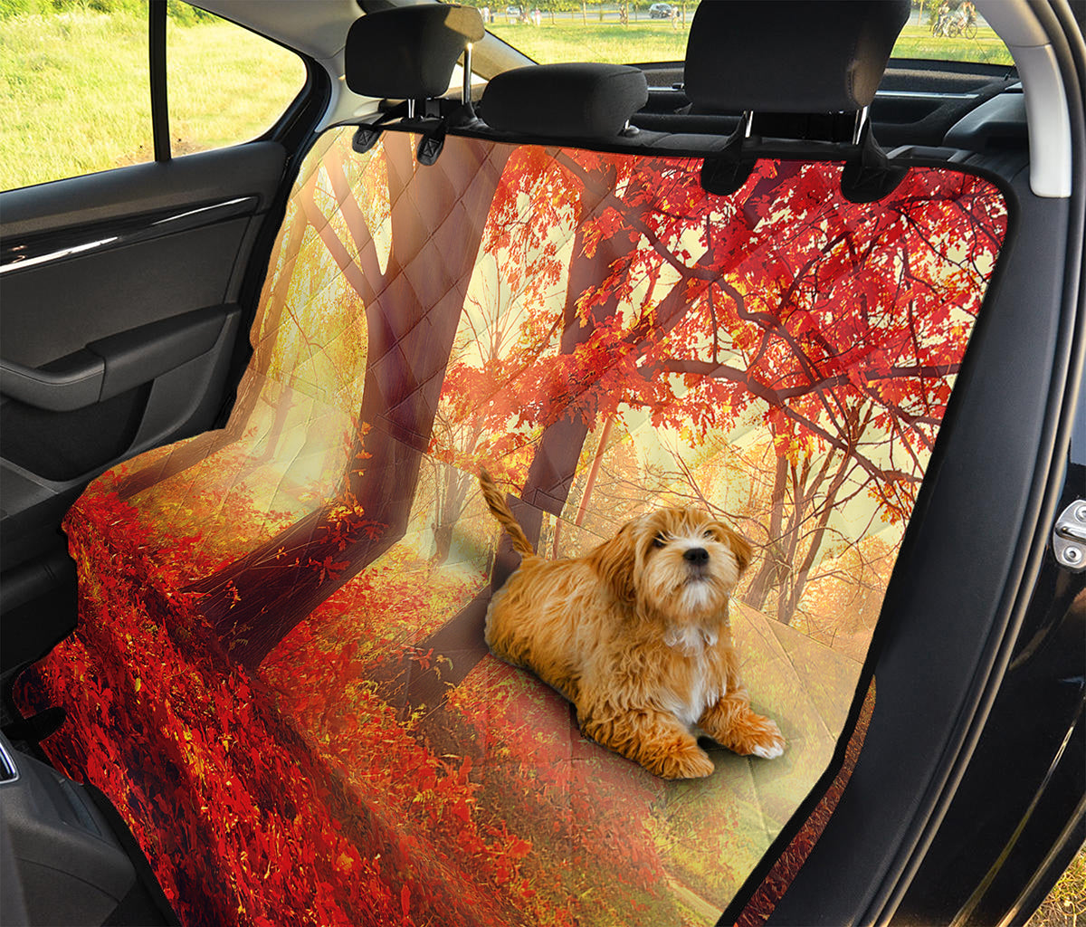 Sunshine Autumn Tree Print Pet Car Back Seat Cover