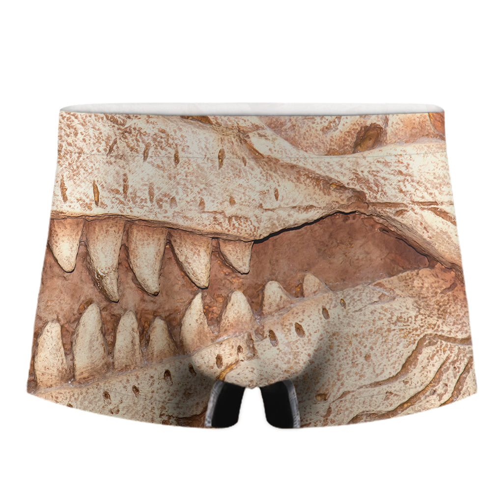 T-Rex Fossil Print Men's Boxer Briefs
