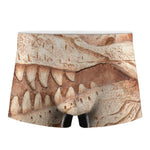 T-Rex Fossil Print Men's Boxer Briefs