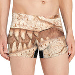 T-Rex Fossil Print Men's Boxer Briefs