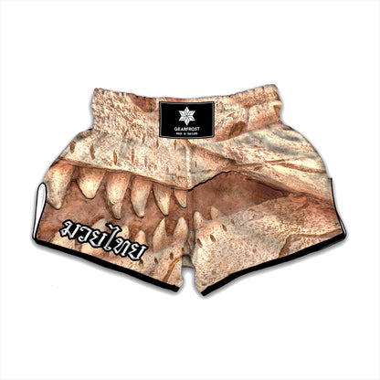 T-Rex Fossil Print Muay Thai Boxing Shorts