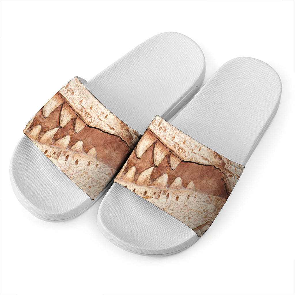T-Rex Fossil Print White Slide Sandals