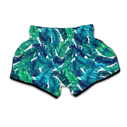 Teal Tropical Leaf Pattern Print Muay Thai Boxing Shorts