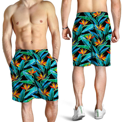 Teal Tropical Pattern Print Men's Shorts